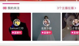 主播新闻爆料文案大全最新,热点事件背后的真相解析