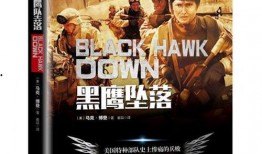 黑鹰坠落高清在线观看,高清重现，惊心动魄的战场纪实